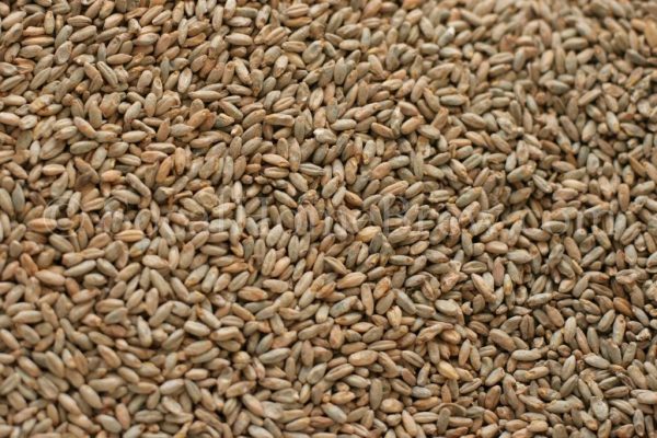 Rye Malt (5 lb) by Briess