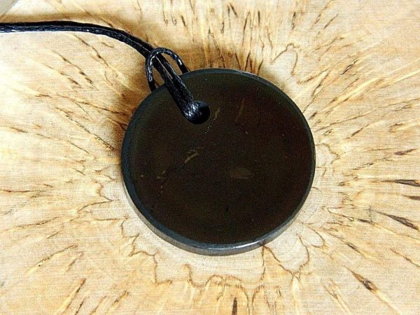 Shungite pendant CIRCLE Necklace