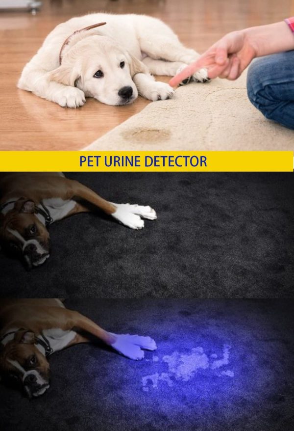 UV 365nm Light Wood's lamp  Blacklight Ultraviolet Flashlight LED Portable Mini Handheld Torch Detector for Dog Urine Pet Stains 370nm Anti-counterfeiting Identification, Resin Curing - Image 2