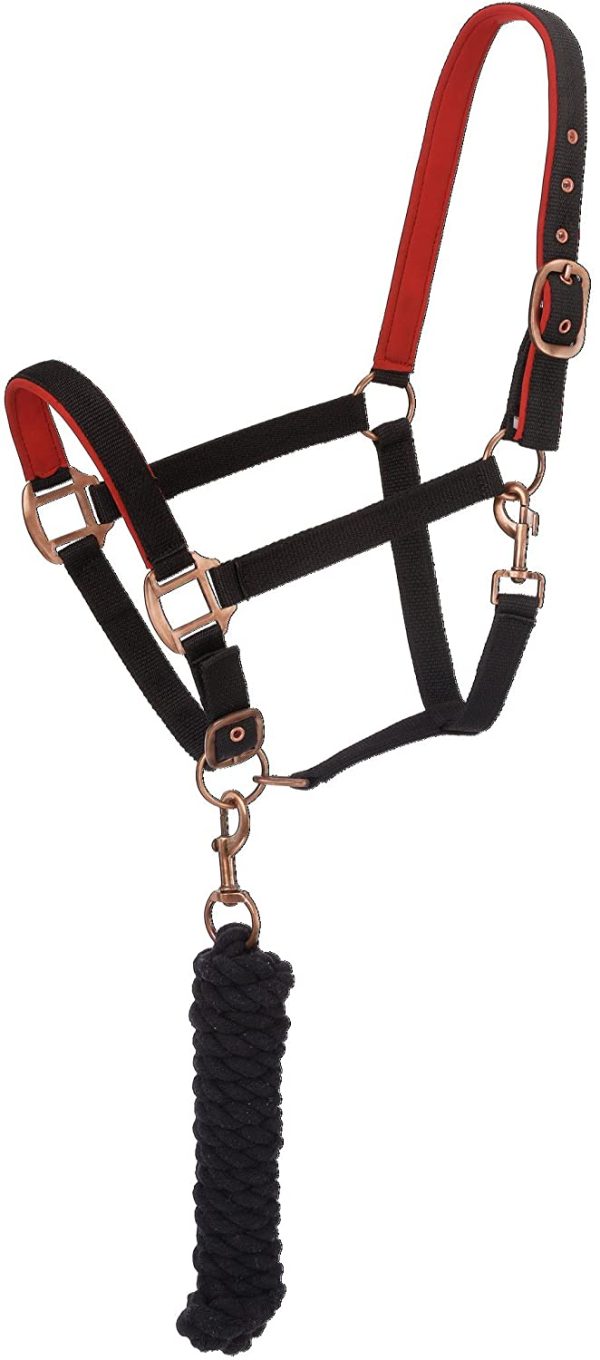 Tough 1 Neoprene Padded Halter with Antique Hardware Lead Set