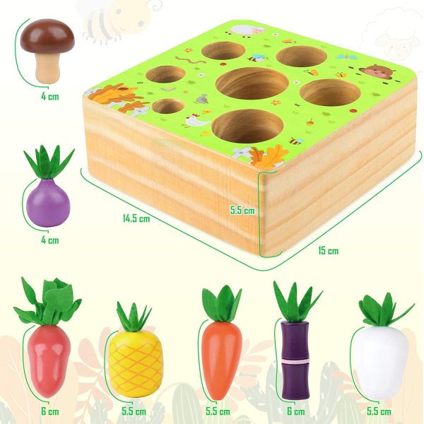 CENOVE Educational Wooden Toys for Toddlers, Carrots Harvest Shape Size Sorting Game, Developmental Montessori Toys for 1 2 3 Year Old Boys and Girls Preschool Learning Fine Motor Skill - Image 2