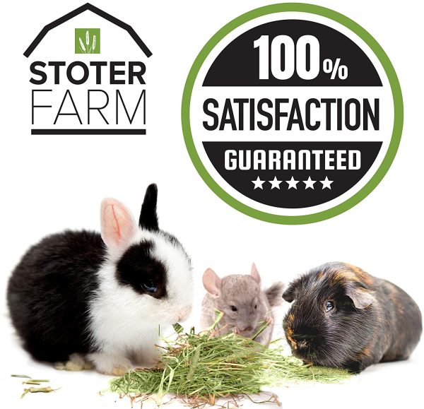 Stoter Farm Premium Timothy Hay Pet Food for Rabbits Guinea Pigs Chinchilla and Other Small Pets (5 LBS) - Image 5