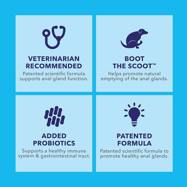 Glandex Anal Gland Soft Chew Treats with Pumpkin for Dogs Chews with Digestive Enzymes, Probiotics Fiber Supplement for Dogs ??Vet Recommended - Boot The Scoot - by Vetnique Labs (Peanut Butter, 30ct) - Image 7