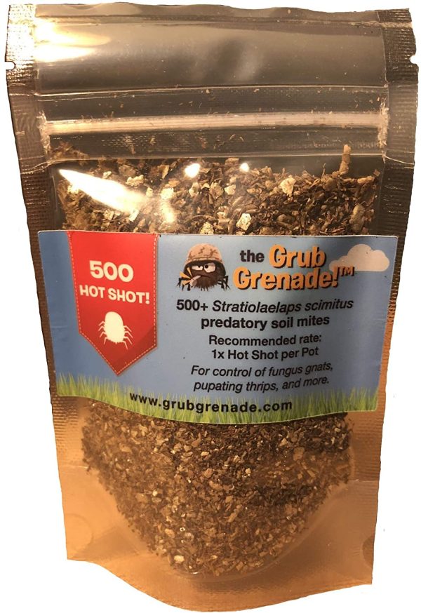 Grub Grenade - Beneficial Predatory Soil Mites - Natural Predators of Fungus gnats, Thrips pupae, diapaused Spider mite, Root aphids, nematodes, phoretic Mites, and More! (500, Pot Shot) - Image 2