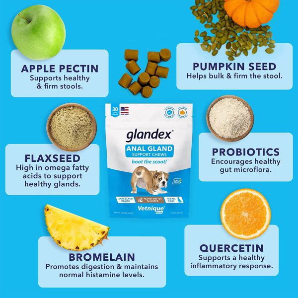 Glandex Anal Gland Soft Chew Treats with Pumpkin for Dogs Chews with Digestive Enzymes, Probiotics Fiber Supplement for Dogs ??Vet Recommended - Boot The Scoot - by Vetnique Labs (Peanut Butter, 30ct) - Image 5