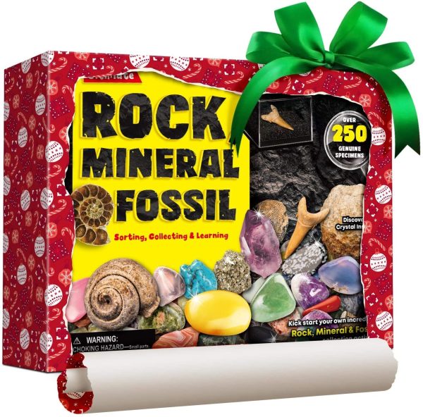 XXTOYS Rock Fossil Mineral Collection Activity Kit Includes 250+ Real Specimens Ultimate Display Case Fossils Gems Rocks Genuine Minerals for Kids Great Science Gift for Boys Girls - Image 6