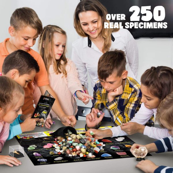 XXTOYS Rock Fossil Mineral Collection Activity Kit Includes 250+ Real Specimens Ultimate Display Case Fossils Gems Rocks Genuine Minerals for Kids Great Science Gift for Boys Girls - Image 4