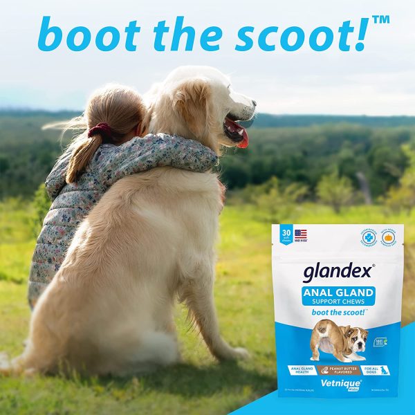 Glandex Anal Gland Soft Chew Treats with Pumpkin for Dogs Chews with Digestive Enzymes, Probiotics Fiber Supplement for Dogs ??Vet Recommended - Boot The Scoot - by Vetnique Labs (Peanut Butter, 30ct) - Image 2