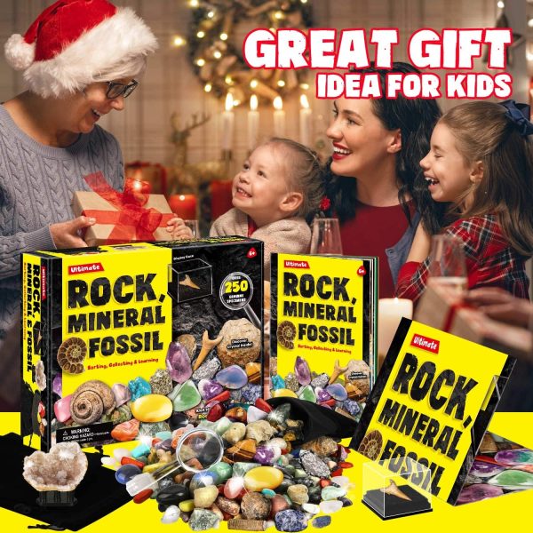 XXTOYS Rock Fossil Mineral Collection Activity Kit Includes 250+ Real Specimens Ultimate Display Case Fossils Gems Rocks Genuine Minerals for Kids Great Science Gift for Boys Girls - Image 5