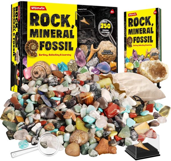 XXTOYS Rock Fossil Mineral Collection Activity Kit Includes 250+ Real Specimens Ultimate Display Case Fossils Gems Rocks Genuine Minerals for Kids Great Science Gift for Boys Girls - Image 3