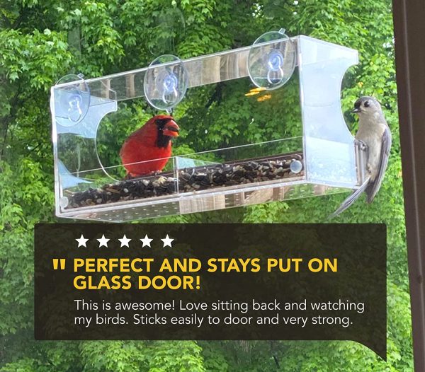 Window Bird Feeder with Strong Suction Cups and Seed Tray, Outdoor Birdfeeders for Wild Birds, Finch, Cardinal, and Bluebird. Large Outside Hanging Birdhouse Kits, Drain Holes, 3 Extra Suction Cups - Image 8