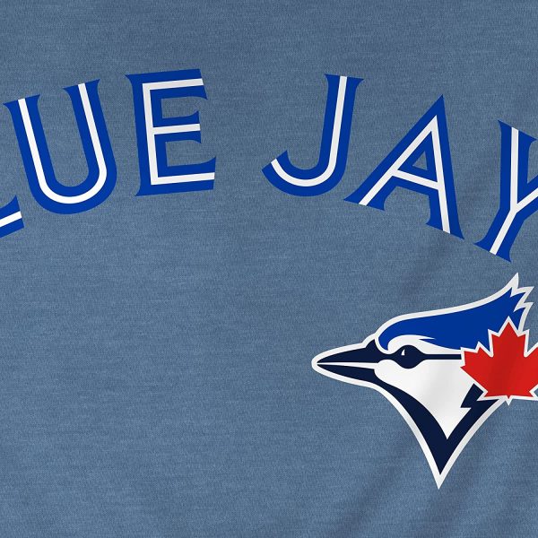 Toronto Blue Jays MLB Wordmark T-Shirt - Light Blue