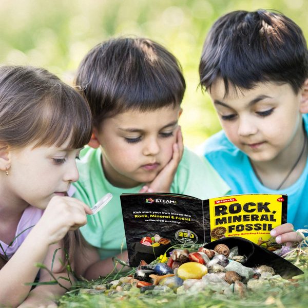 XXTOYS Rock Fossil Mineral Collection Activity Kit Includes 250+ Real Specimens Ultimate Display Case Fossils Gems Rocks Genuine Minerals for Kids Great Science Gift for Boys Girls