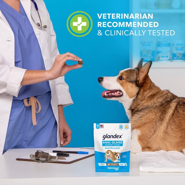 Glandex Anal Gland Soft Chew Treats with Pumpkin for Dogs Chews with Digestive Enzymes, Probiotics Fiber Supplement for Dogs ??Vet Recommended - Boot The Scoot - by Vetnique Labs (Peanut Butter, 30ct)