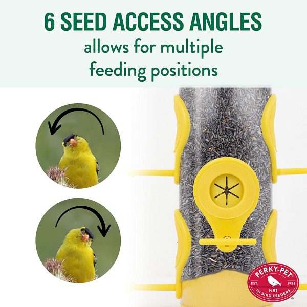 Perky-Pet 481F Finch Feeder - 1.5 lb - Image 8