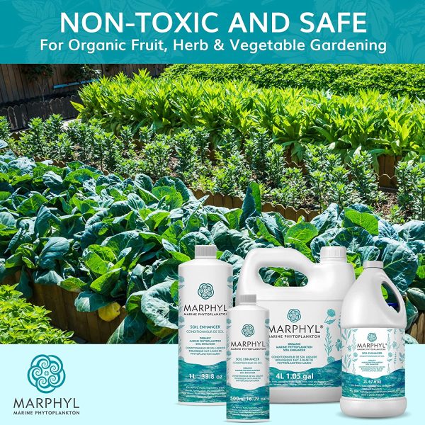 MARPHYL Organic Liquid Fertilizer ??Indoor & Outdoor House Plant Fertilizer - All-Purpose Nutrient-Rich Plant Food - Soil Enhancer for Garden, Flowers, Vegetables, Succulents, Bamboo, Hydroponics - Image 9