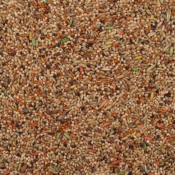 Living World Premium Parakeet/Budgie Mix, 2 Pounds - Image 2