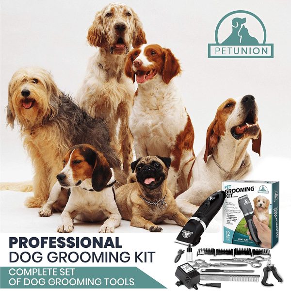 Pet Union Professional Dog Grooming Kit, Rechargeable, Cordless, Low Noise Dog Clippers for Grooming Thick Coats - Clippers, Nail Trimmer, Complete Grooming Set for Dogs, Cats and Other Pets (Black)