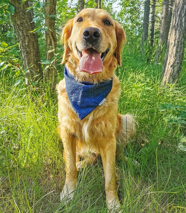 Denim Dog Cat Bandana (Large) - Image 4